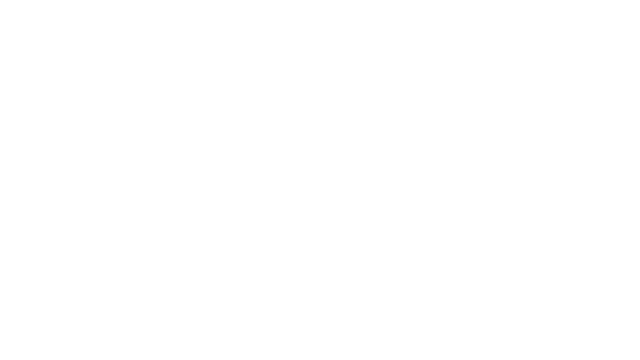 Blank Race Image